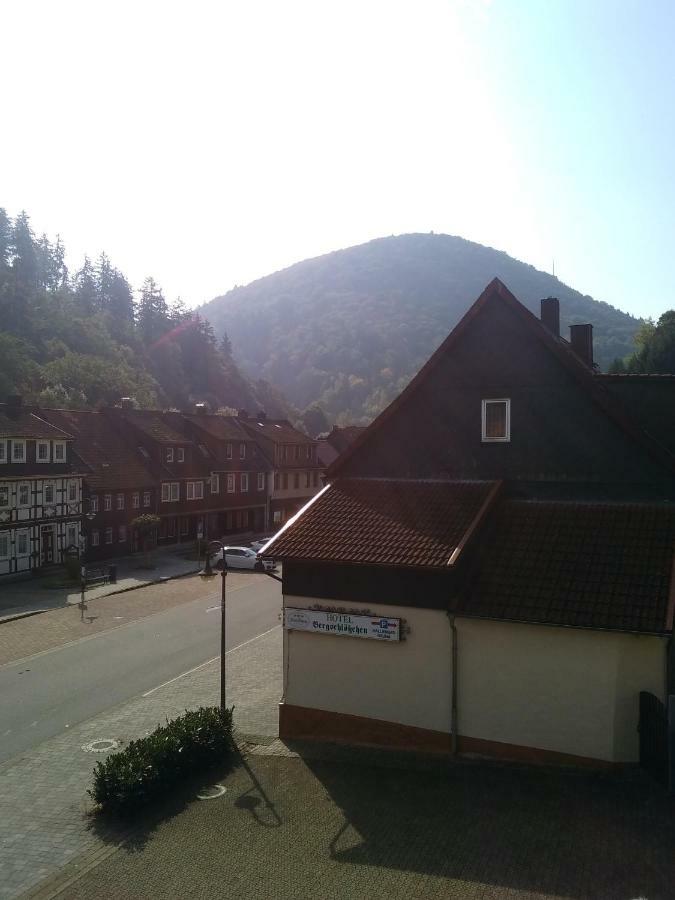 Hotel Bergschlosschen Цорге Экстерьер фото